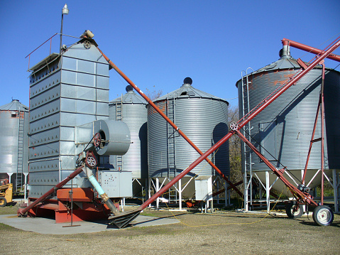Grain dryer on left, surrounded by metal grain storage bins, with several grain augers to transfer grain from the dryer to the bins. Located on a farm in central Saskatchewan, Canada.