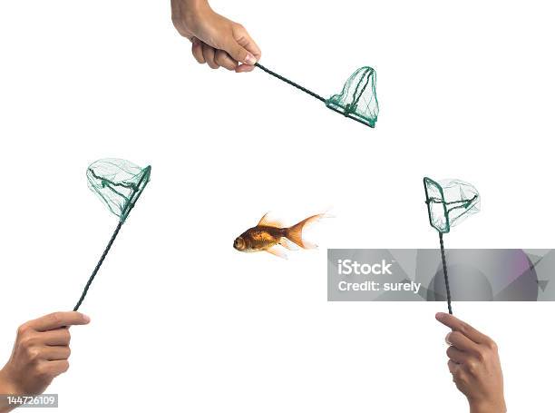 Competition Stock Photo - Download Image Now - Catch of Fish, Catching, Chasing