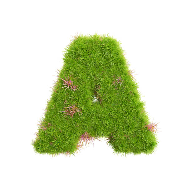 istock 3d rendering of grass letters alphabet,the word a. 1447262712