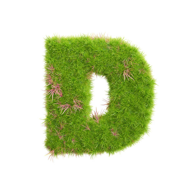 istock 3d rendering of grass letters alphabet,the word d. 1447262753