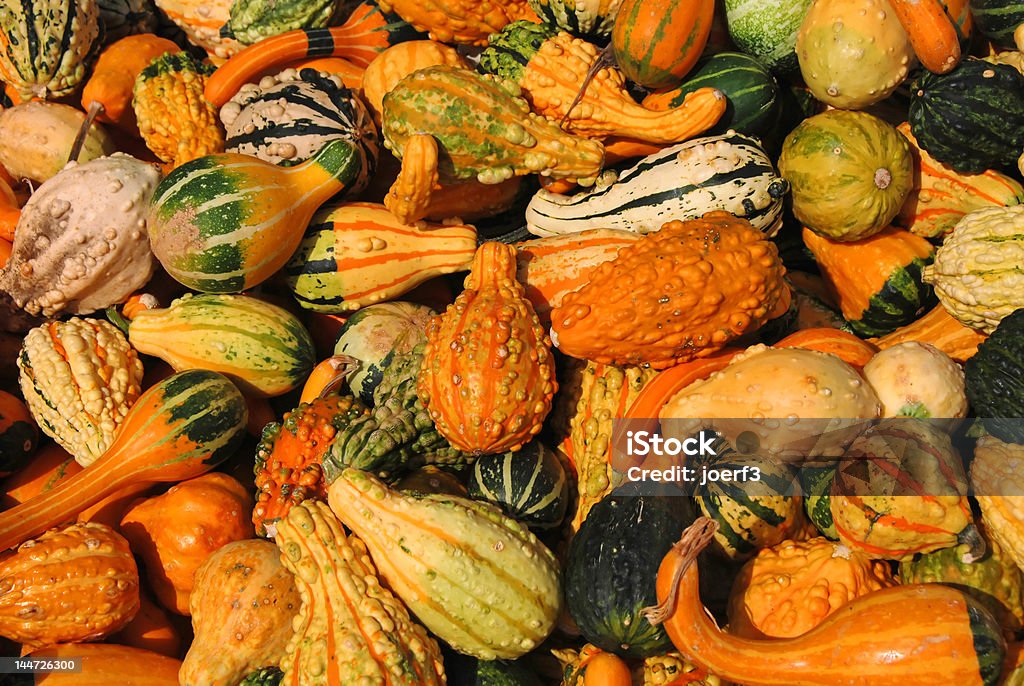 Gourds - Zbiór zdjęć royalty-free (Dekoracja)