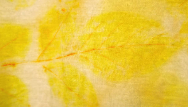 istock Texture and pattern of natural leaf in yellow color from eco print process. 1447263266