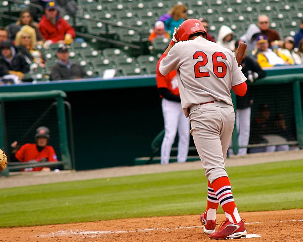 You Are Out A batter struck out at a summer baseball game. baseball hitter stock pictures, royalty-free photos & images