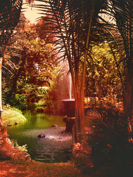 giardino delle fate. laghetto con piccola fontana nel giardino sul retro. giardino tropicale. - luxury hotel palm tree lush foliage asia foto e immagini stock