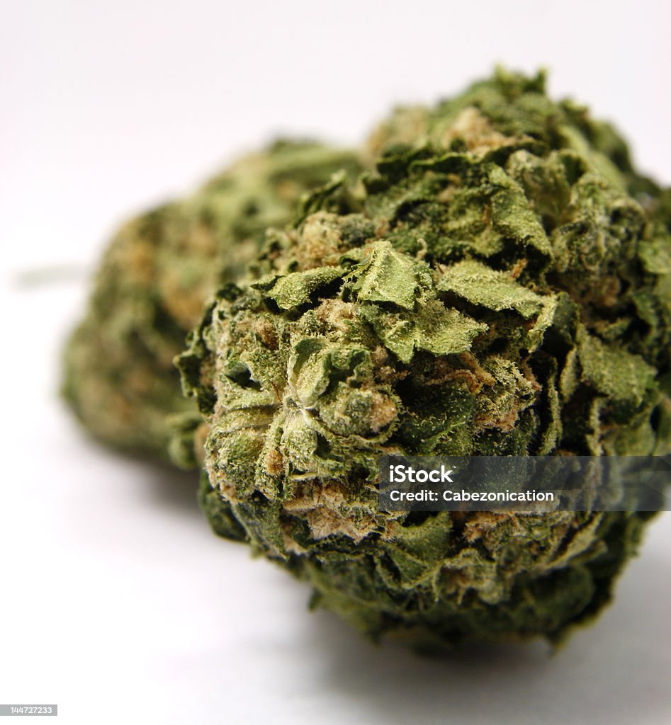 nugs4 isolated marijuana. Bud Stock Photo