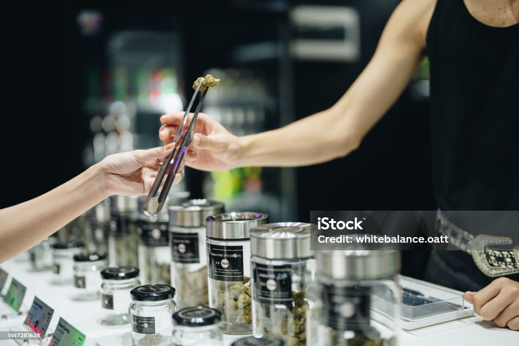 The process of choosing and buying cannabis. Asian woman sniffs cannabis product in glass jars presented by an employee while in shop. Cannabis Plant Stock Photo
