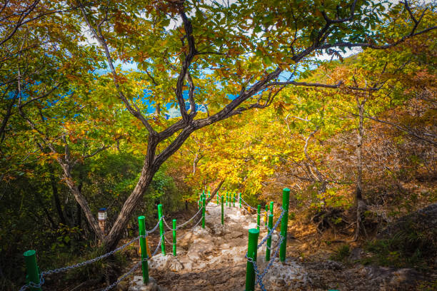 istock Walking path in Geumosan provincial park, Korea 1447282922