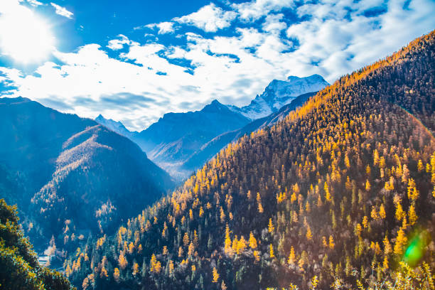 istock Daocheng Yading in autumn 1447286136