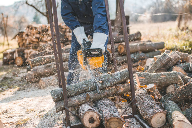 istock An unrecognizable retired lumberjack cutting firewood in the yard 1447290231