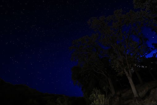 Nightime at the Sunol Regional wilderness locate near Fremont California USA