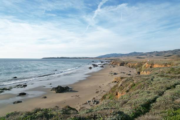 istock Beaches, marshes and cliffs at San Simeon  California 1447297930