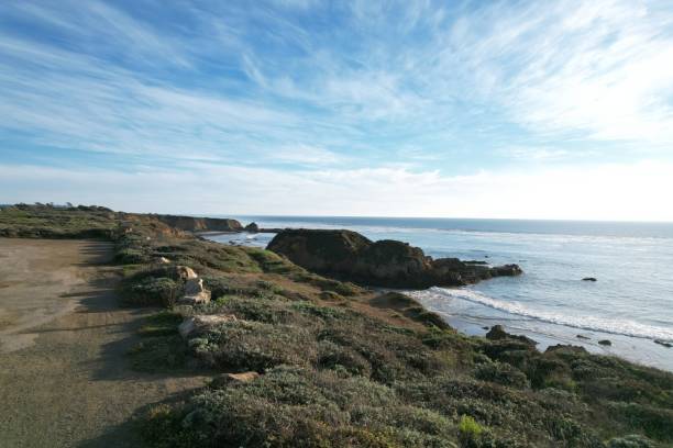 istock Beaches, marshes and cliffs at San Simeon  California 1447297941