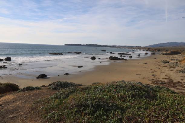 istock Beaches, marshes and cliffs at San Simeon  California 1447298017