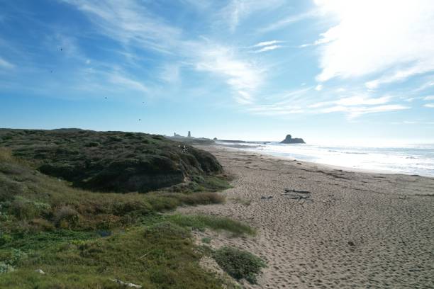 istock Beaches, marshes and cliffs at San Simeon  California 1447298022