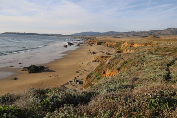 istock Beaches, marshes and cliffs at San Simeon  California 1447298028