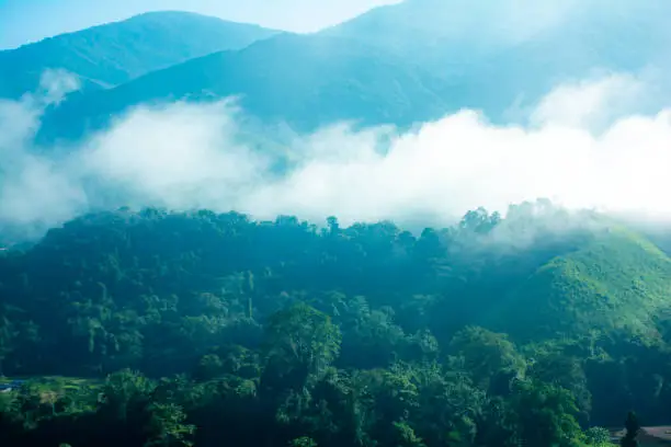 Beautiful mountains under mist in the morning,fog and cloud tropical landscape Welcoming travelers.