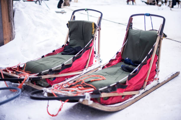 istock Husky dog ​​sled. Dog team 1447305769