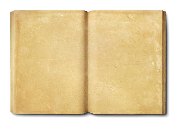 istock Vintage open book isolated on white background 1447305906