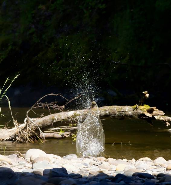 A water splash with stones and trunk in the background in a cave
