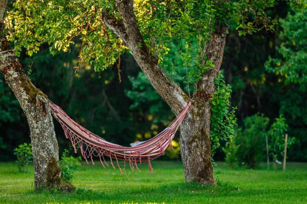 istock Colorful hammock hanging in the garden between the trees 1447307359