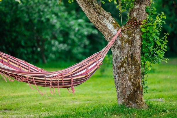 istock Colorful hammock hanging in the garden between the trees 1447307361