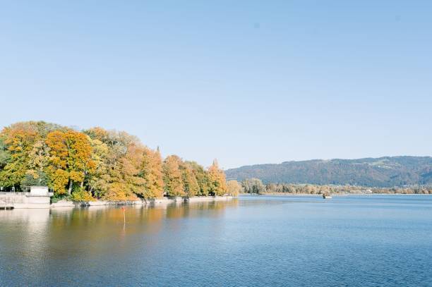 istock Aerial view Constance lake surrounded by autumn trees 1447308682