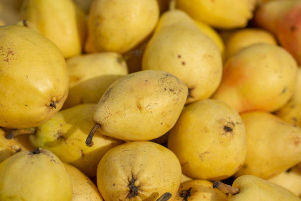 istock yellow pears at an autumn fair 1447309374