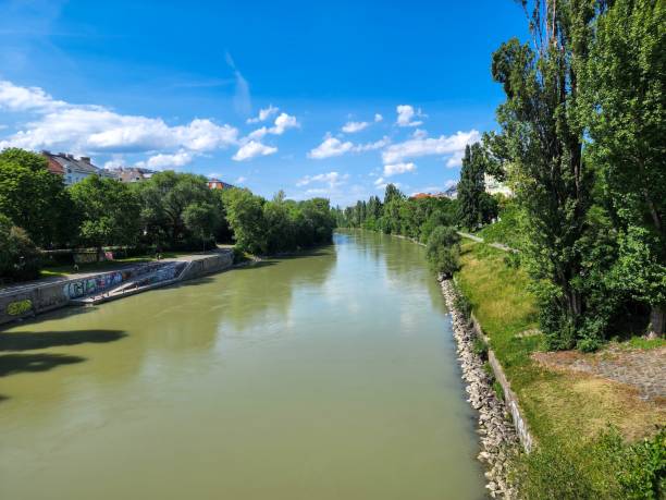 istock Wide scenic river surrounded by trees on a sunny day 1447309674