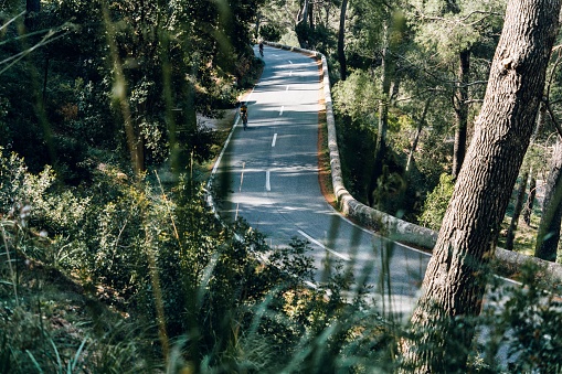 A mesmerizing shot of a road through the forest in the Tramuntana mountain range in Mallorca, Spain