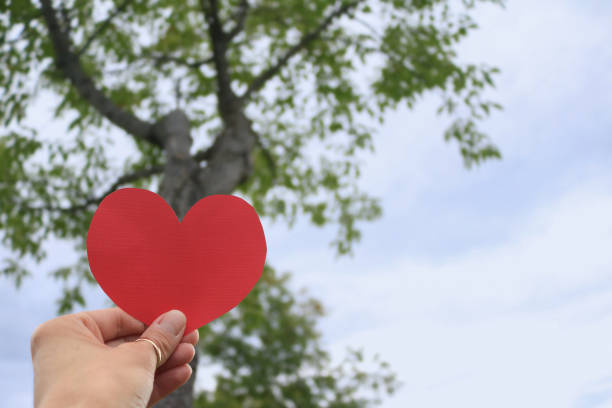 istock Woman’s hand holding a red heart in front of a tree. 1447311873
