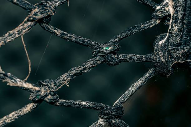 istock Macro shot of an old weathered rope gate 1447312234