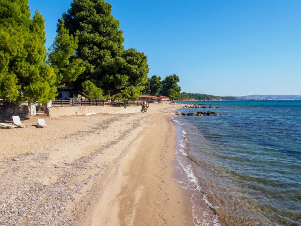 istock Idyllic sandy beach with green trees in Halkidiki, Greece 1447312837