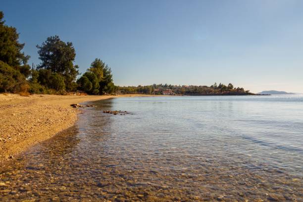 istock Beautiful sandy beach with green trees in Halkidiki, Greece 1447312873