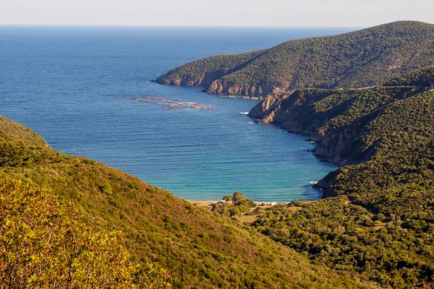 istock Beautiful seascape with forested cliffs in Halkidiki, Greece 1447312927