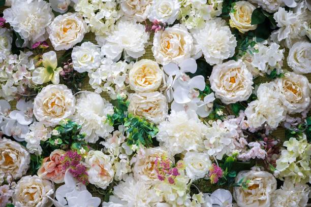 istock White roses decoration on the wall 1447313087