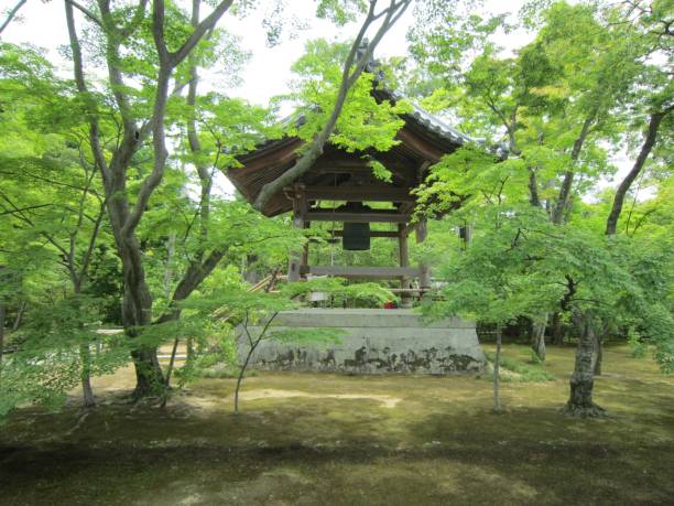 istock Japanese pavilion in green park, Kyushu 1447313256