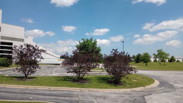 istock Curve street with trees in the middle and a cloudy blue sky 1447313477