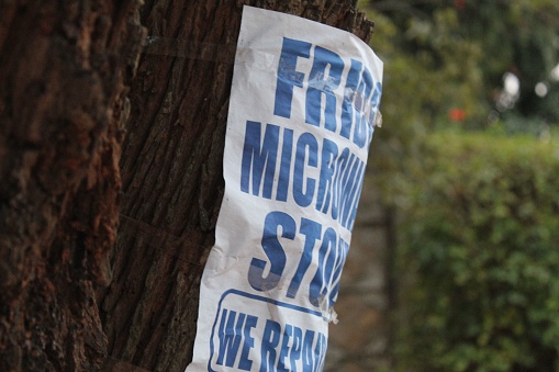 Harare, Zimbabwe – June 25, 2022: A white poster with blue letters on tree with background.