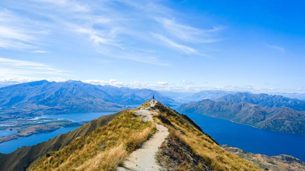 beautiful shot of the roy's peak in under the clouds in new zealand - new zealand forest landscape mountain imagens e fotografias de stock