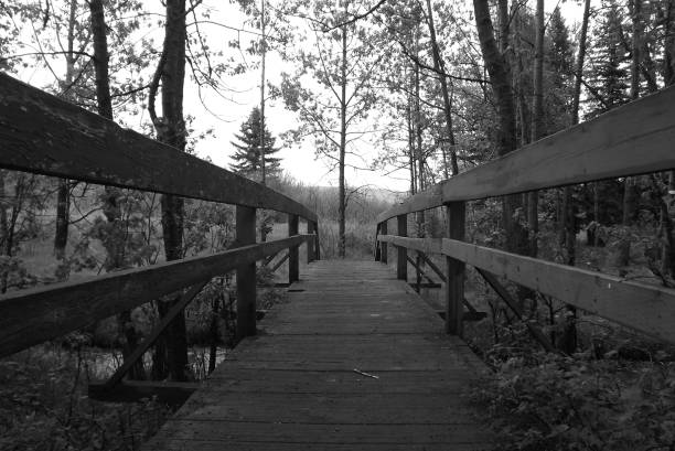 A greyscale shot of a wooden bridge
