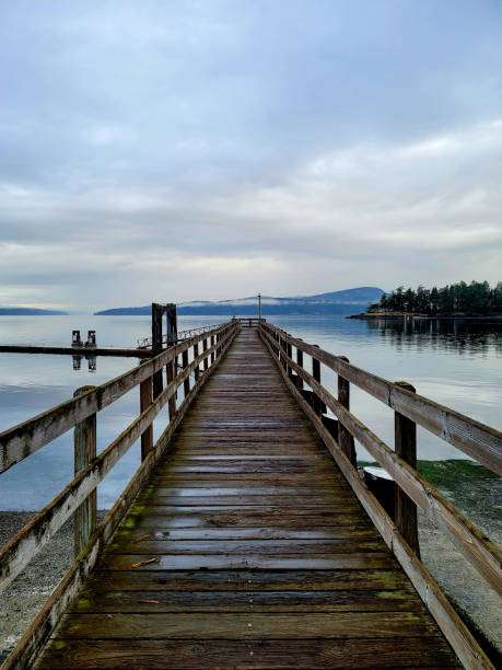istock Weathered Wooden Pier on Hazy Morning 1447317981