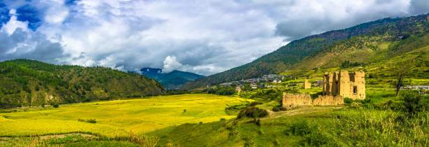 istock Panoramic shot of beautiful fields and mountains against a blue cloudy sky 1447318412