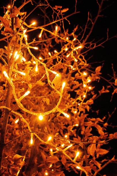 istock Low Angle View Of Decorative ornaments with lights Tree At Night 1447318606