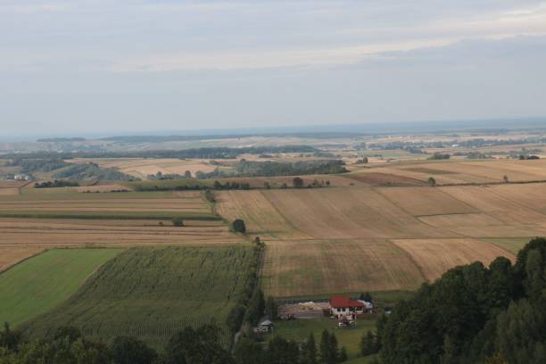 istock Aerial landscape  of different fields 1447318807