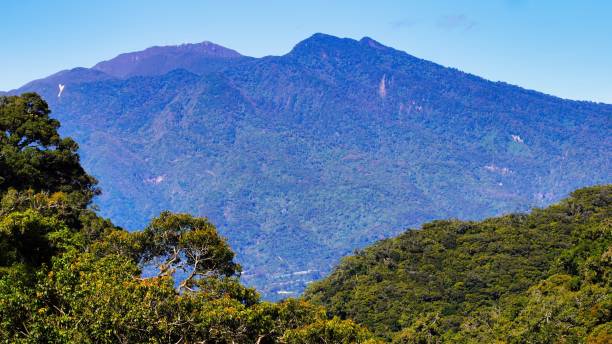 istock Aerial view of mountain landscape surrounded by dense trees 1447318871