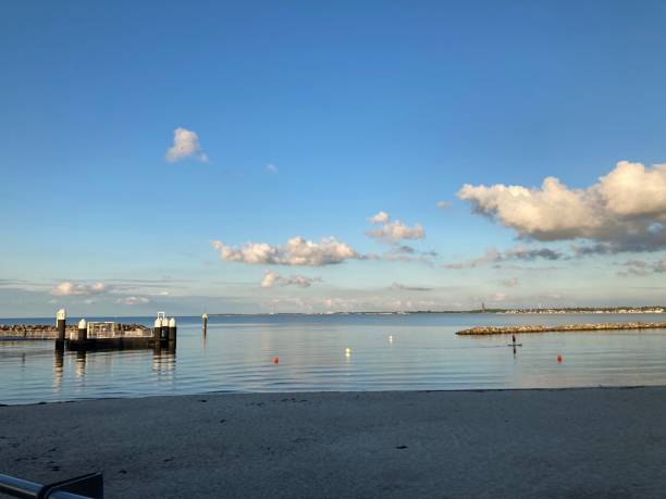istock Sandy coastline with a calm waterscape and fluffy clouds in the background 1447319671