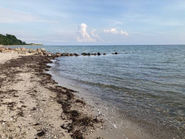 istock Washing the coastline covered with seaweed and rocks 1447319683