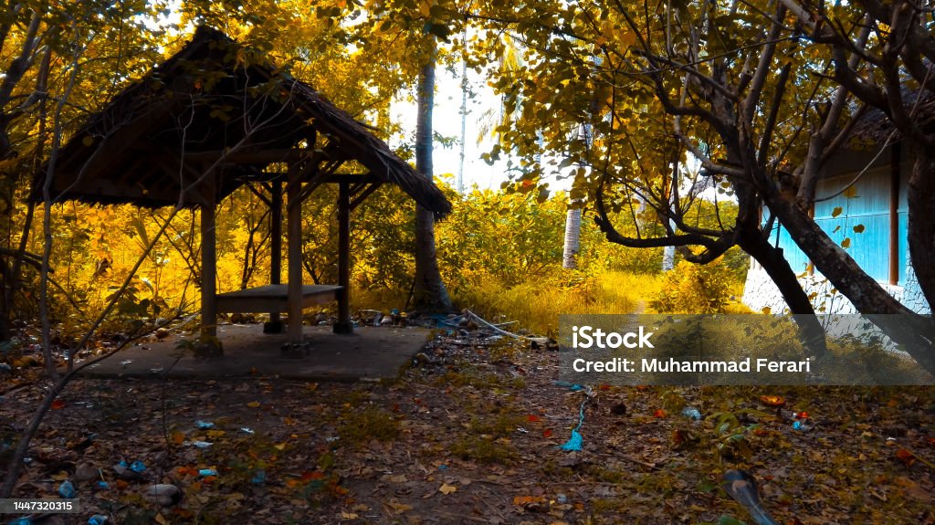 abandoned hut in the forest abandoned hut in the forest with yellow leaves with some abandoned blue house Abandoned Stock Photo