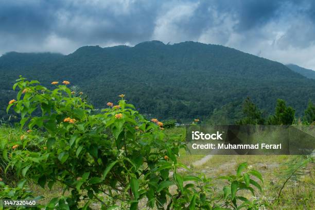 Sibayak Mountain In Sibolangit Stock Photo - Download Image Now - Agricultural Field, Asia, Beauty