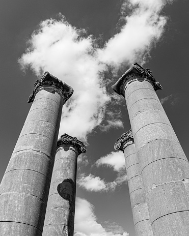 A vertical greyscale shot of four old traditional columns